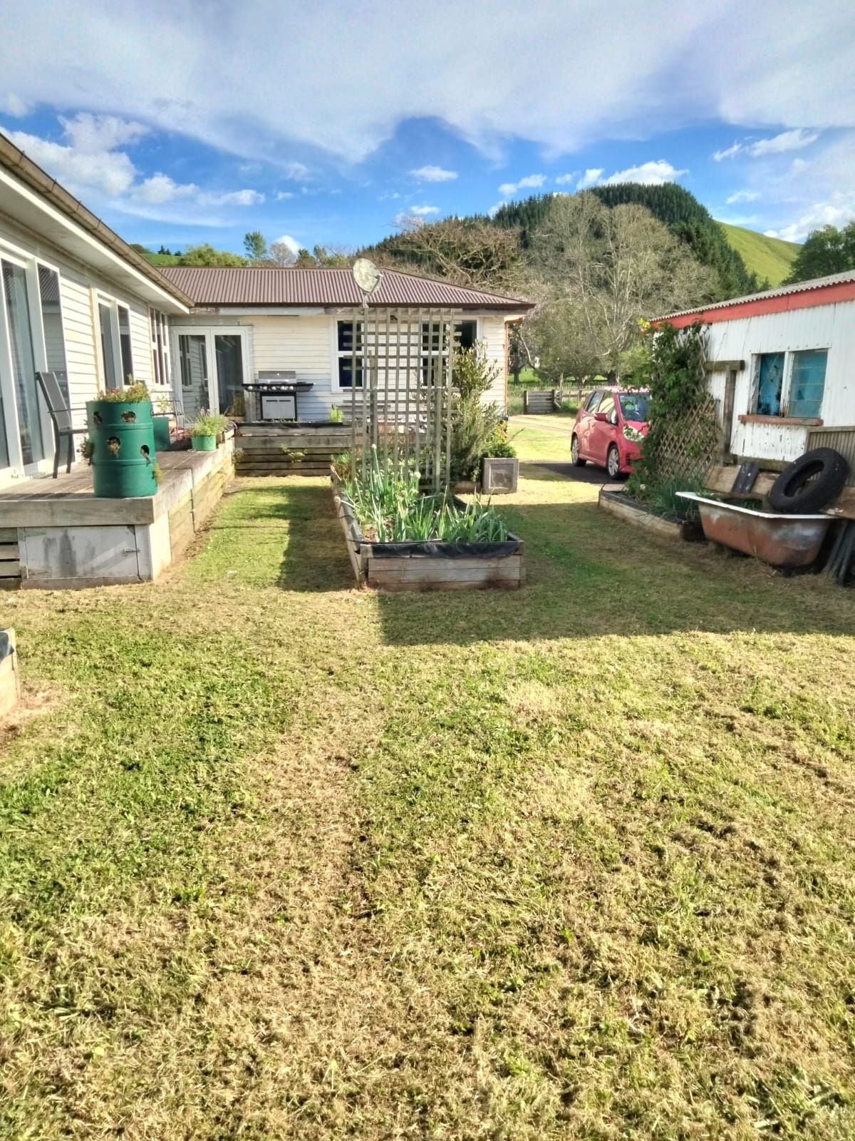 Overgrown Lawn - After