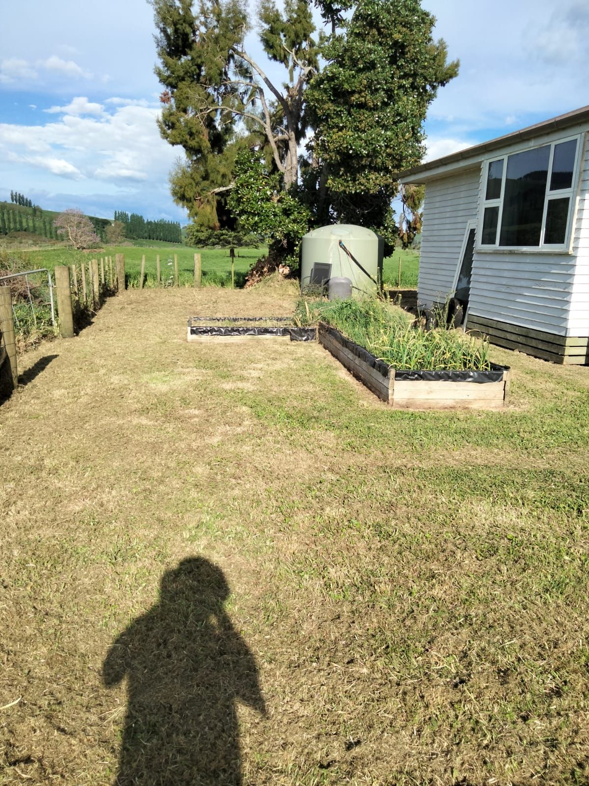 Overgrown Lawn After