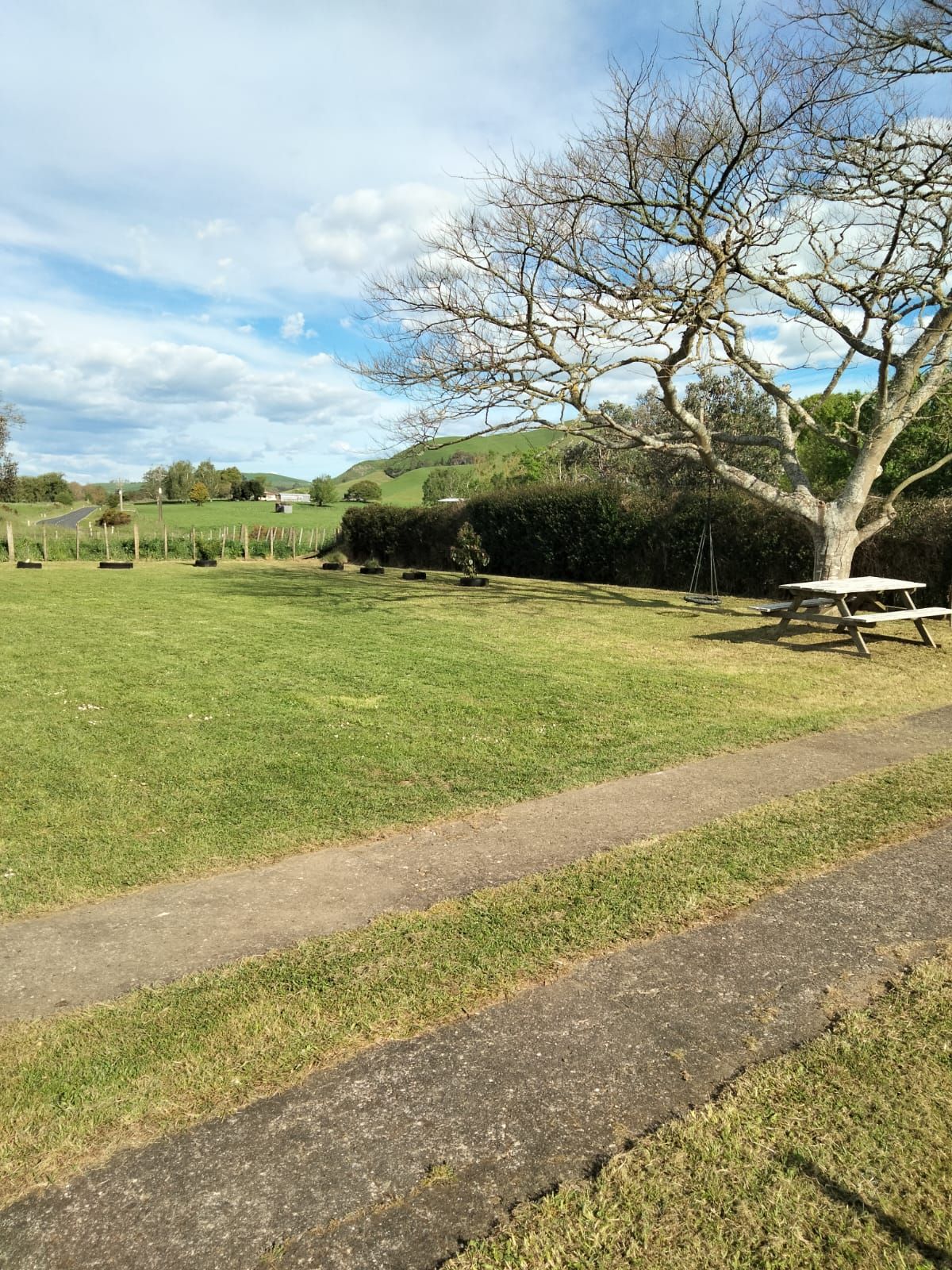 Overgrown Lawn After