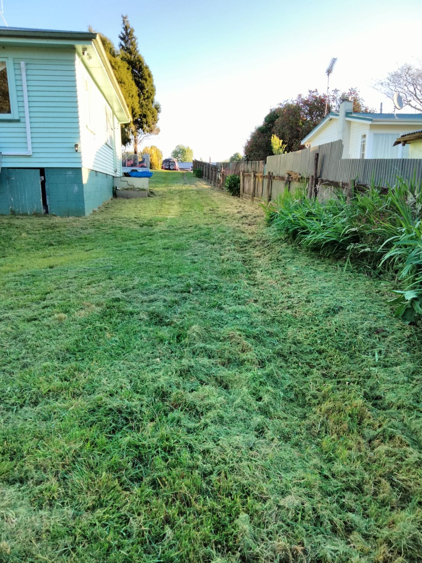 Overgrown Section - After