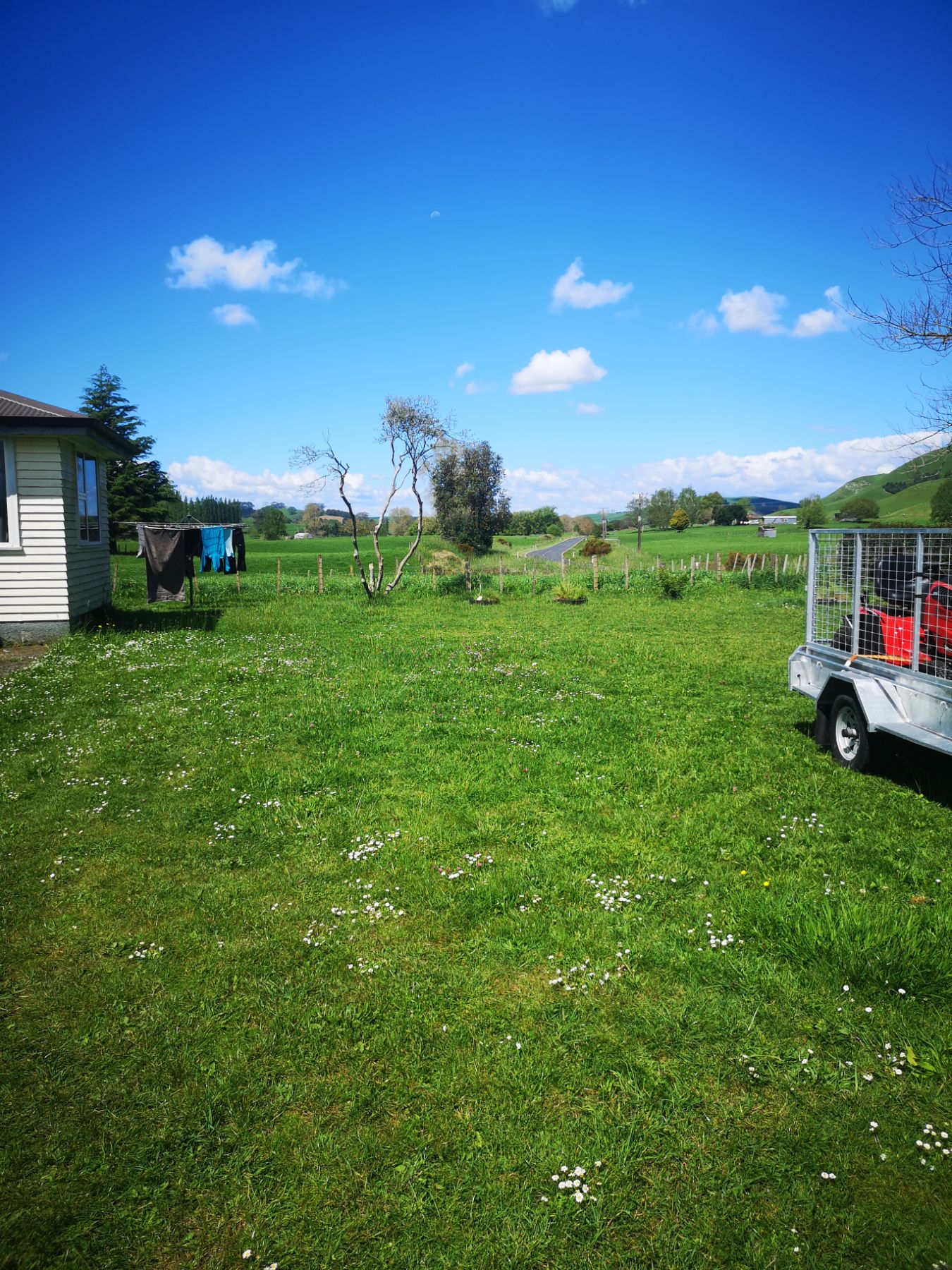 Overgrown Lawn - Before