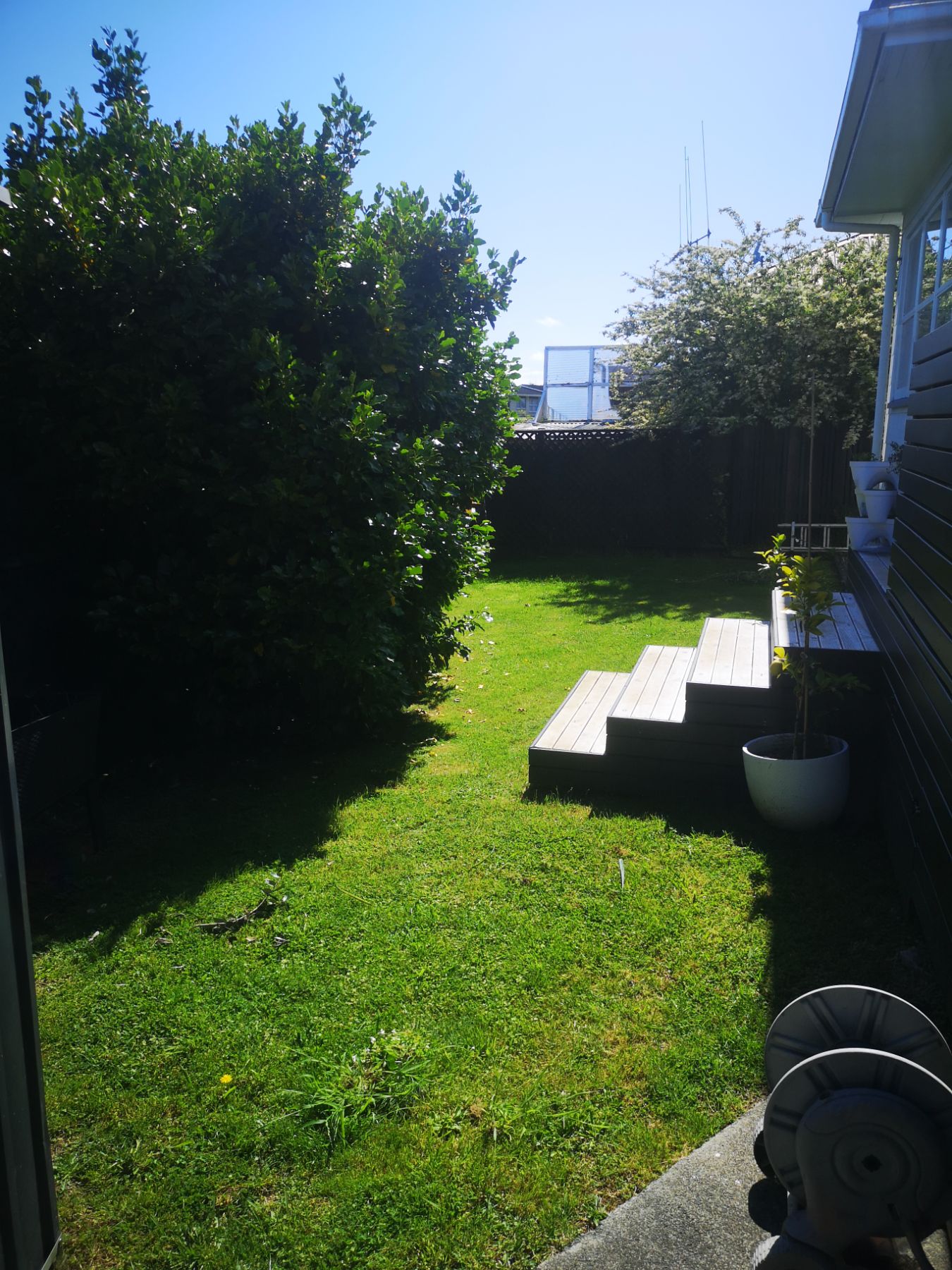 Tree Pruning - Before