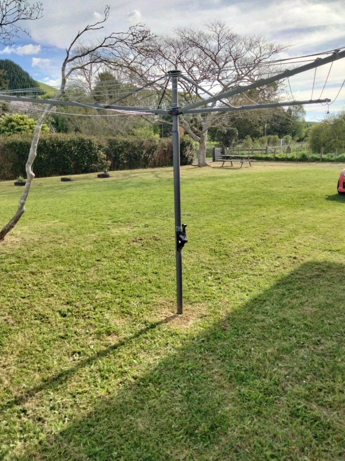Overgrown Lawn - After
